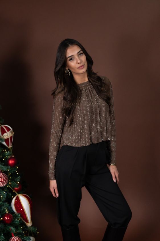 Bluza Shine Smeđa